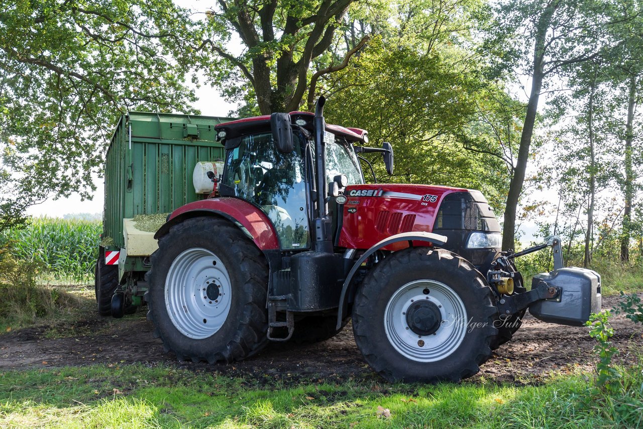 Bild 212 - Maisernte